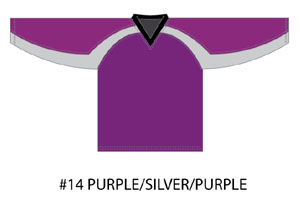 Color #14 Purple/Silver/Purple