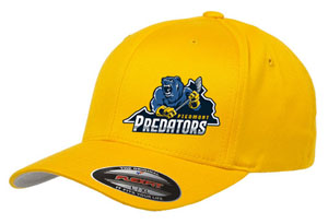 Predators Baseball Hat - Gold
