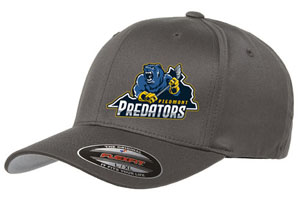 Predators Baseball Hat - Gray