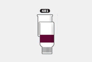 AK Sock - Color 481